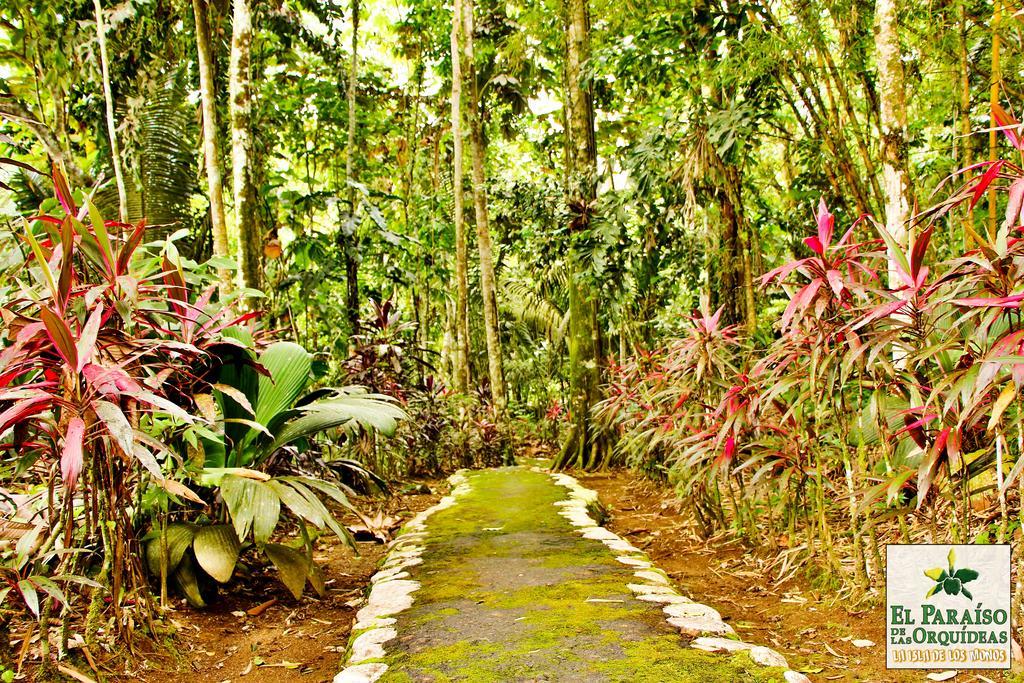 Hosteria El Paraiso De Las Orquideas Hotel Archidona Exterior photo